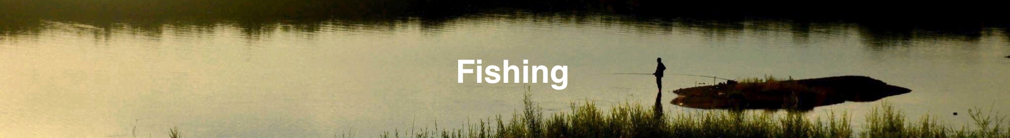 Fishing/Fry&Lure